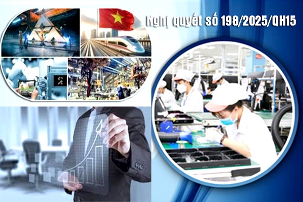 miễn kiểm tra thực tế tại doanh nghiệp chấp hành tốt